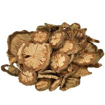 Artikel Mini houten schijfjes betelnootdecoratie met korrel 1-4,5cm 300g
