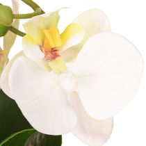 Artikel Mini orchideeën kunstmatige witte orchideeën in een pot 15cm