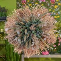Artikel Minipalmspeer, droge bloemisterij, adventsdecoratie, herdenkingsdagen naturel L33–34cm B7–9cm 4 stuks