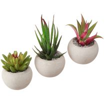 Artikel Mini Vetplanten in Pot Kunstplanten Decoratie Ø6,5cm 6st
