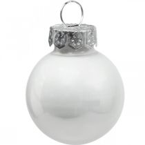Artikel Mini kerstballen glas wit glanzend/mat Ø2,5cm 22 stuks