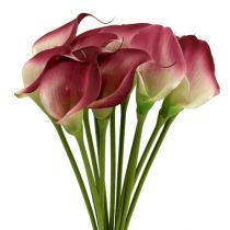 Artikel Mini calla kunst 28cm Erika, crème 12 st