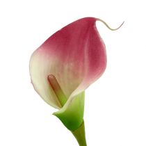 Artikel Mini calla kunst 28cm Erika, crème 12 st