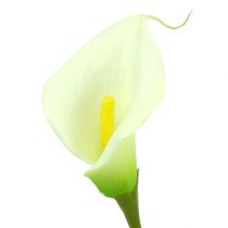 Artikel Mini calla kunstwit L 28cm 12 st
