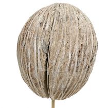Artikel Mintolla balletje op stok mix whitewashed 6 st
