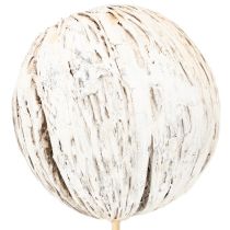 Artikel Mintolla balletje op stok mix whitewashed 6 st
