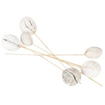 Artikel Mintolla balletje op stok mix whitewashed 6 st