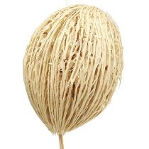 Artikel Mintolla bal gebleekt 8cm - 10cm L46cm 6 st