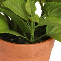 Artikel Munt in Pot Kunstkruiden Kunstplanten 18cm 2st