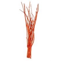 Mitsumata takken oranje 34-60cm 12st