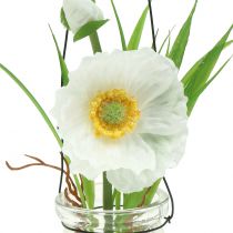 Artikel Papaver in een glas om wit H22cm op te hangen