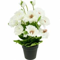 Papaver in een pot witte zijden bloemen florale decoratie