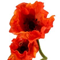 Artikel Klaprozen kunst kunstbloemen oranje 58cm–74cm 3st