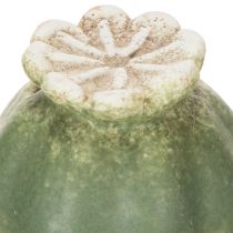 Artikel Decoratieve stokken met klaprooszaadpeulen voor een stijlvolle seizoensgebonden tuin of een blikvanger op het balkon, 41 cm, 4 stuks