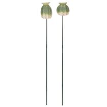 Artikel Decoratieve stokken met klaprooszaadpeulen voor een stijlvolle seizoensgebonden tuin of een blikvanger op het balkon, 41 cm, 4 stuks