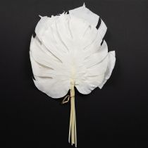 Artikel Monstera bladeren gebleekt decoratief raamblad H40cm 5 stuks