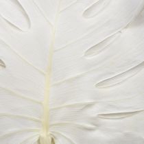 Artikel Monstera bladeren gebleekt decoratief raamblad H40cm 5 stuks