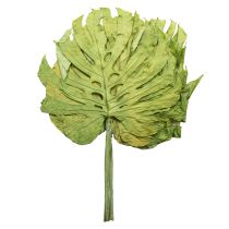 Artikel Decoratieve Monstera-bladeren voor boho- en urban jungle-decoratie