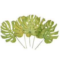 Artikel Decoratieve Monstera-bladeren voor boho- en urban jungle-decoratie