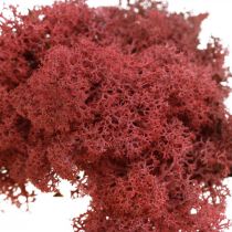 Decoratief mos voor handwerk Rood natuurlijk mos gekleurd in een zakje van 40 g