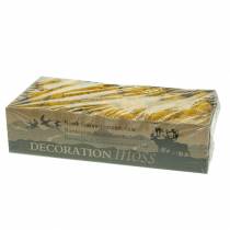 Artikel Rendiermos Geel 400g