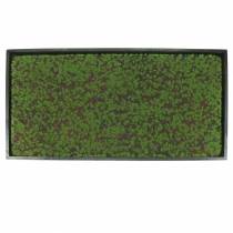 Artikel Muurschildering mos in een groene lijst 60x30cm Wanddecoratie gemaakt van mos