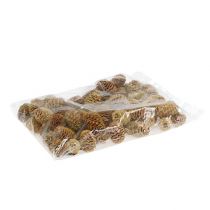 Artikel Sabulosum kegelcrème 500g