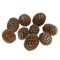 Murii cones naturel 500g