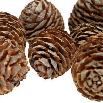 Murii cones naturel 500g