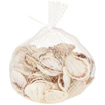 Artikel Schelpdecoratie Sint-Jakobsschelpen in naturel 3,5cm–4cm 300g