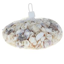 Artikel Schelpdecoratie mini kokkels slakkenhuisjes 1–3 cm 340 g