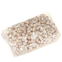 Artikel Mossel Umachi 500g