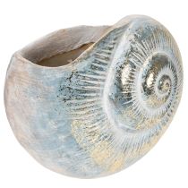 Artikel Decoratieve slakvormige container voor maritieme en natuurlijke wanddecoratie, grijs, 21 cm