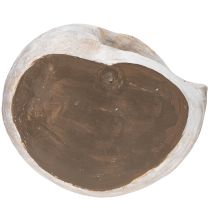 Artikel Decoratieve slakvormige container voor maritieme en natuurlijke wanddecoratie, grijs, 21 cm