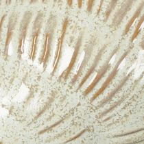 Artikel Keramische schaal met schelpmotief voor een elegante decoratie in de woonkamer, 23 cm