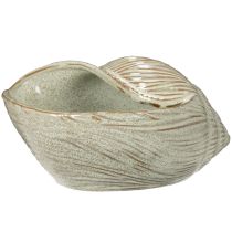 Artikel Keramische schaal met schelpmotief voor een elegante decoratie in de woonkamer, 23 cm