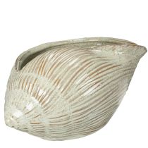 Artikel Keramische schaal met schelpmotief voor een elegante decoratie in de woonkamer, 23 cm