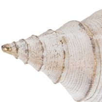 Artikel Decoratieve schelpvorm voor stijlvolle maritieme decoratie, 44 cm