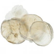 Artikel Stranddecoratie, capiz schelpen 5-10cm, naturel, parelmoer, maritiem 1kg