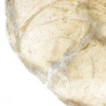 Artikel Stranddecoratie, capiz schelpen 5-10cm, naturel, parelmoer, maritiem 1kg