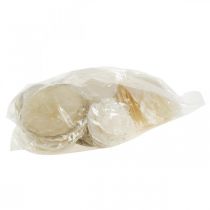 Artikel Stranddecoratie, capiz schelpen 5-10cm, naturel, parelmoer, maritiem 1kg