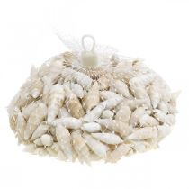 Artikel Deco slakken wit, zeeslak naturel decoratie 2-5cm 1kg