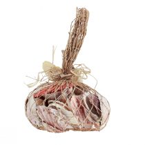 Artikel Schelpdecoratie echte schelpen verschillende soorten 300g