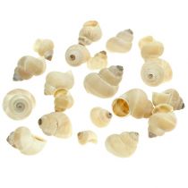 Mossel Umachi 500g