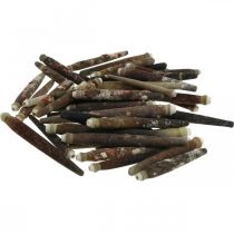 Artikel Decoratieve schelpen Egelstekels, zee-egelstekels, maritieme decoratie L3–8cm 450g