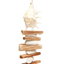 Artikel Schelpenkrans zeeslakken zomerdecoratie natuurlijk assorti 69cm 3st