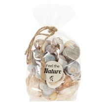 Artikel Slakken en schelpen - Maritieme decoratieve accenten voor een unieke kamerverfraaiing - 500 g