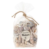 Artikel Schelpen Natuurlijke maritieme decoratieve items voor stijlvol interieur 500 g