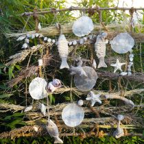 Schelpenmix, schelpen en slakkenhuisjes, zomerdecoratie H3–5cm/L2,5–9cm 950g