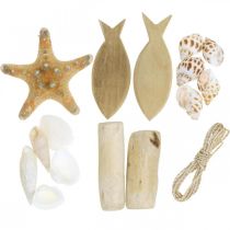 DIY Box Maritieme Natuurlijke Schelpen Houten Decoratie Diverse Set